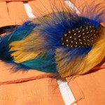 serre-tête à plumes bleu jaune et vert