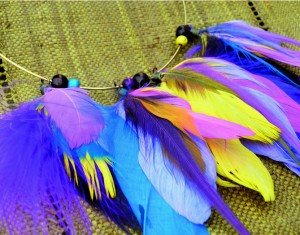  à plumes colorées